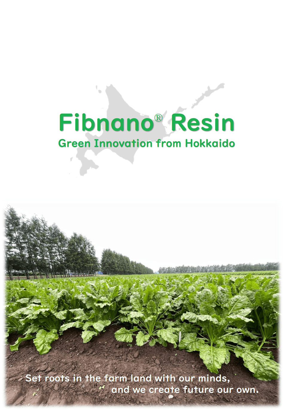 Fibnano®(ファイブナノ) Resin　資料